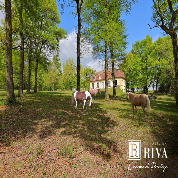 Offres de vente Maison Salleboeuf 33370